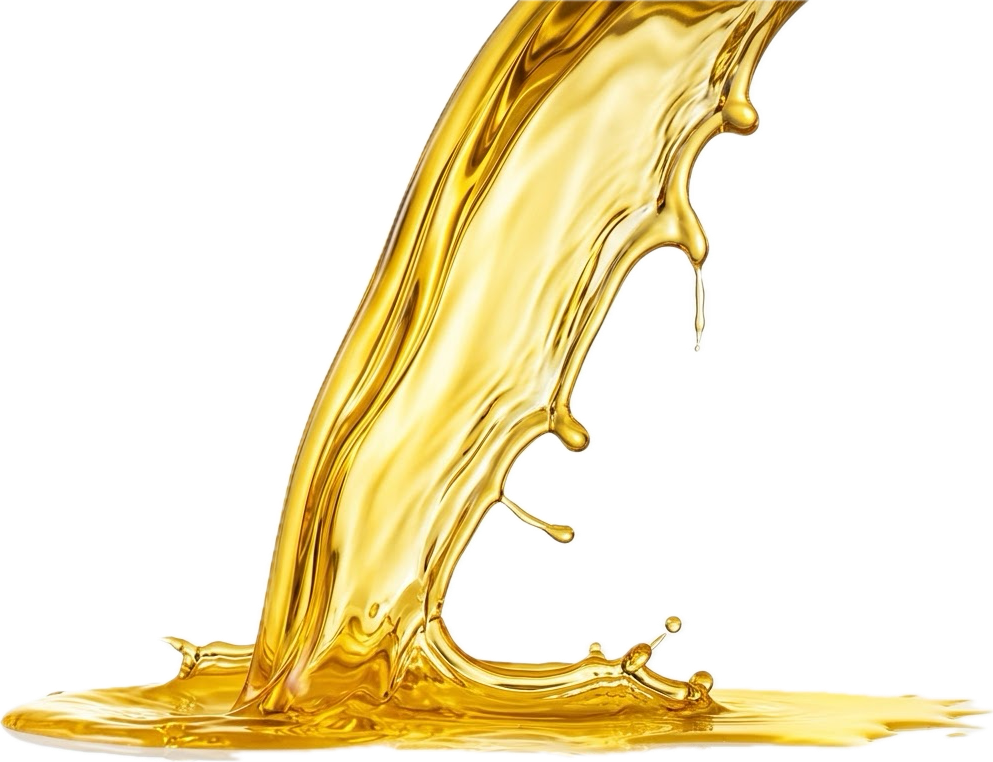 Aceite de vaca y cordero y excelente cadena de suministro